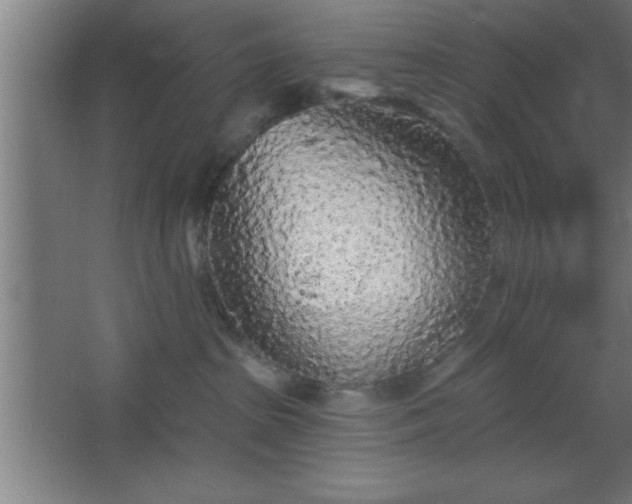 X0000068720285200605010941