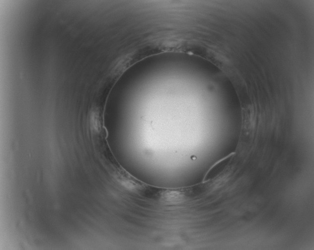 X0000068720287200605010941