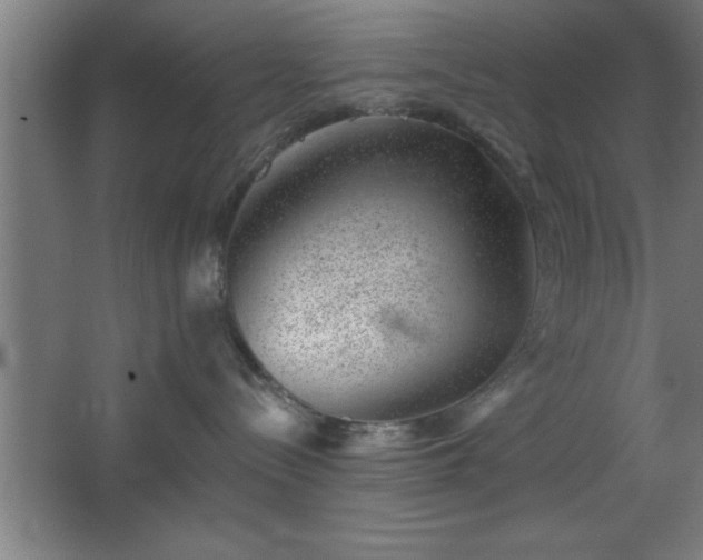 X0000068720288200605010941