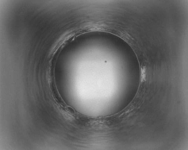 X0000068720291200605010940