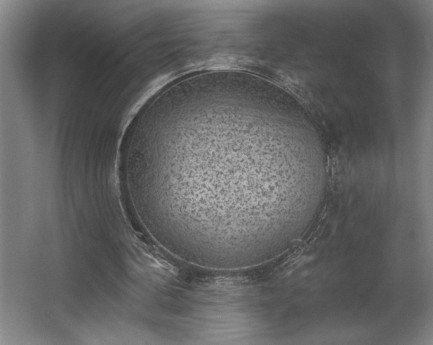 X0000068720292200605010940