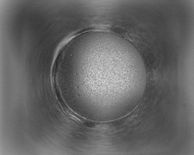 X0000068720294200605010940