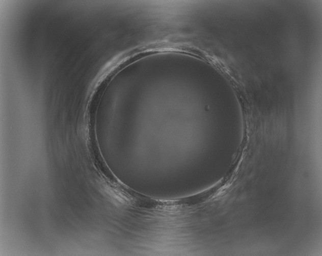 X0000068720295200605010940