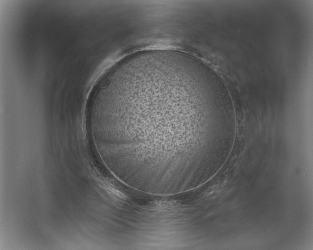 X0000068720296200605010940