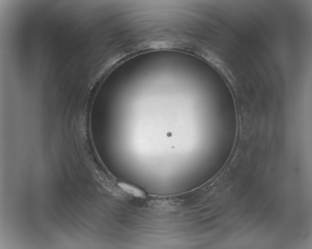 X0000068720297200605010940