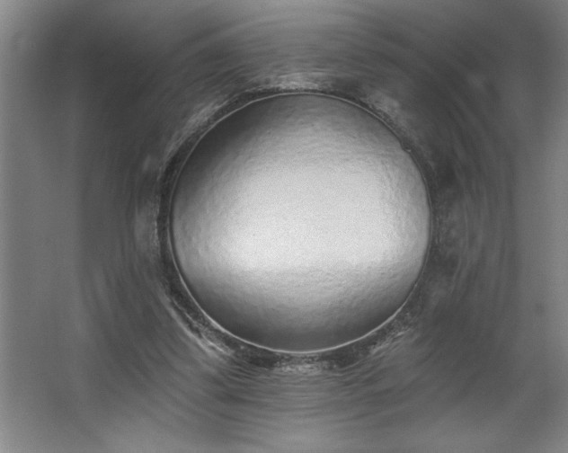 X0000068720299200605010940