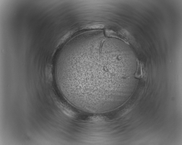 X0000068720300200605010940