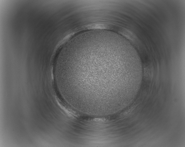 X0000068720302200605010940