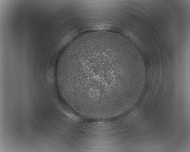 X0000068720303200605010940