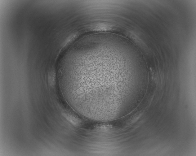 X0000068720304200605010940