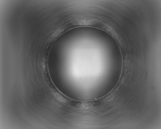 X0000068720305200605010940