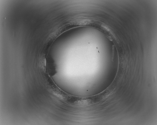 X0000068720307200605010940