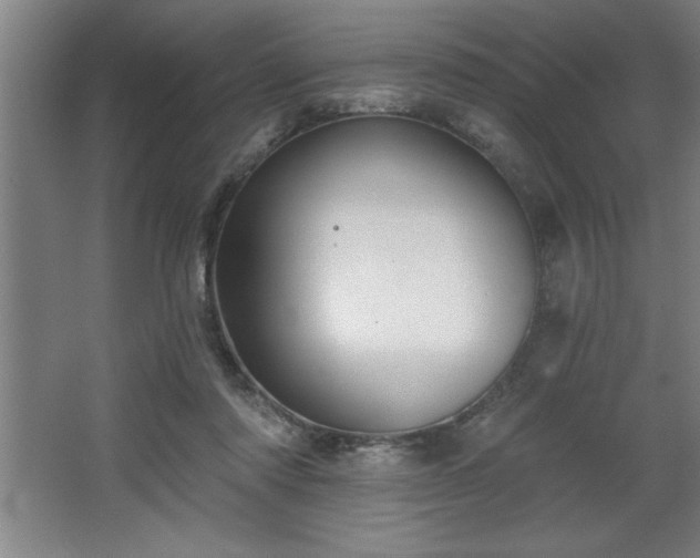 X0000068720310200605010940