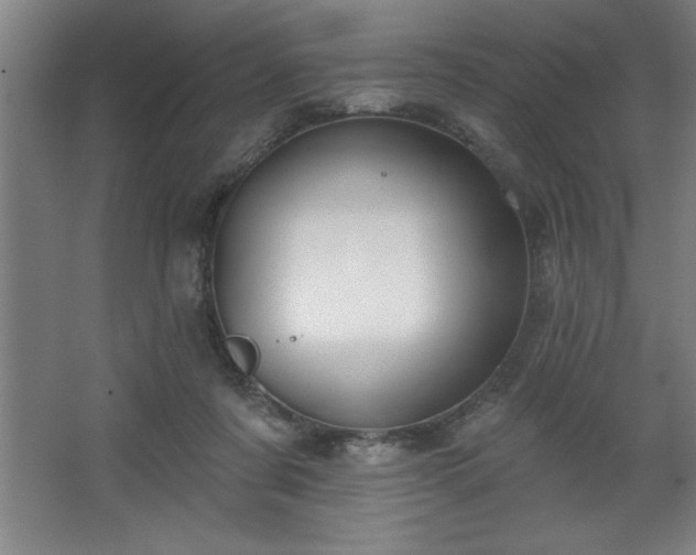 X0000068720311200605010940