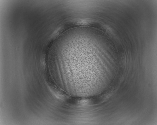 X0000068720312200605010940