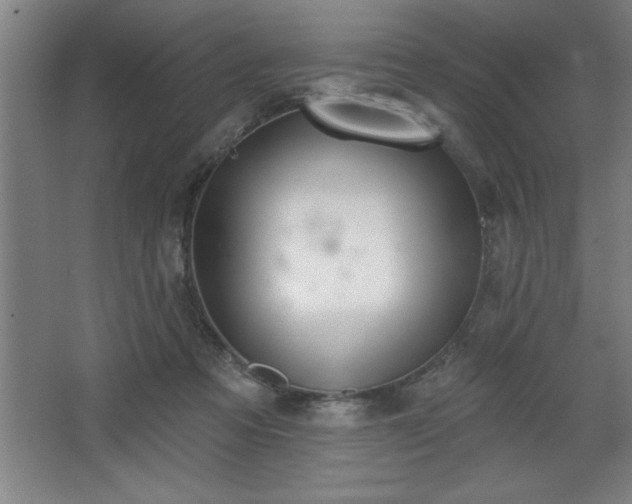 X0000068720313200605010940