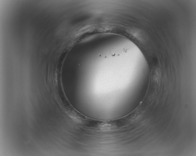 X0000068720315200605010940