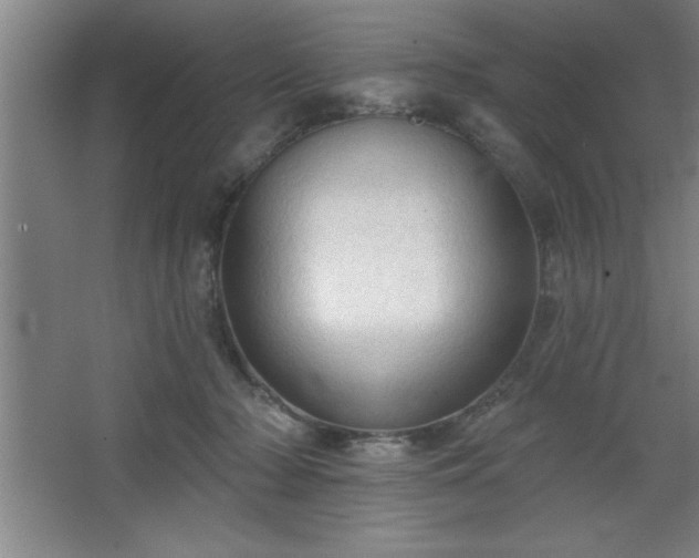 X0000068720318200605010940