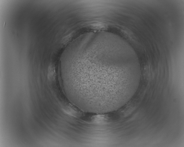 X0000068720320200605010940