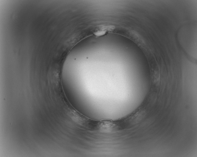 X0000068720321200605010940