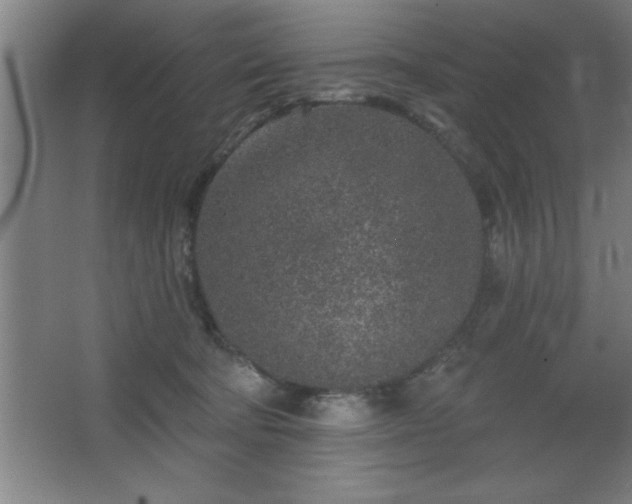 X0000068720322200605010940