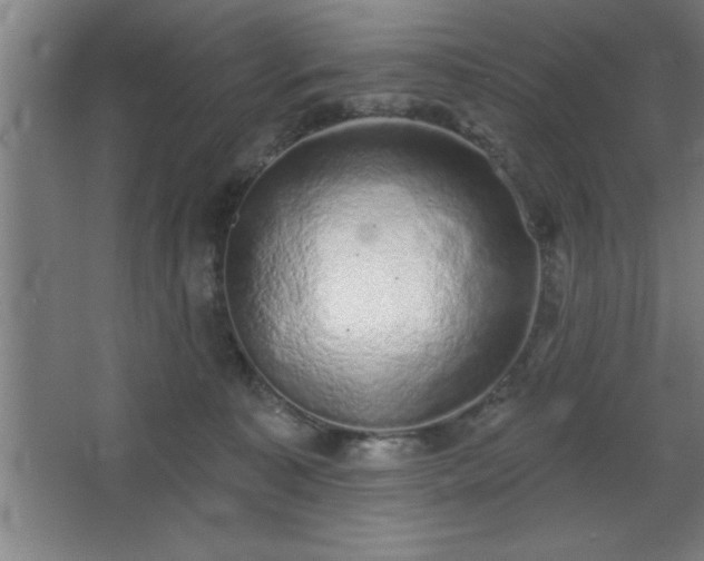 X0000068720323200605010940