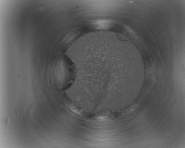 X0000068720325200605010940