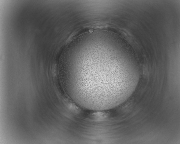 X0000068720326200605010940