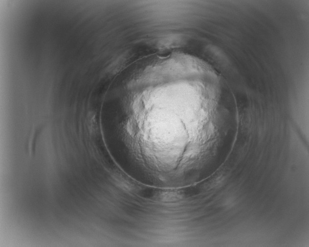 X0000068720327200605010940