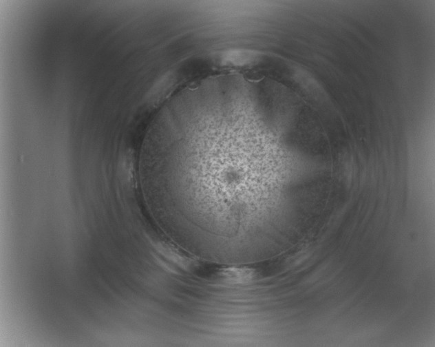 X0000068720328200605010940