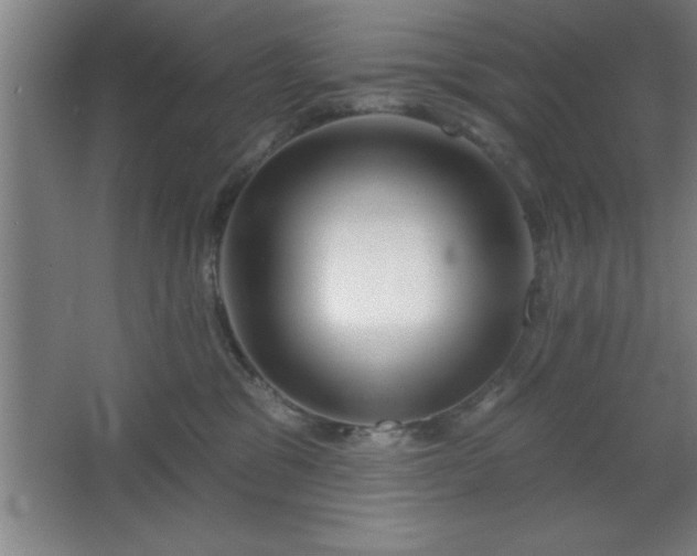 X0000068720329200605010940