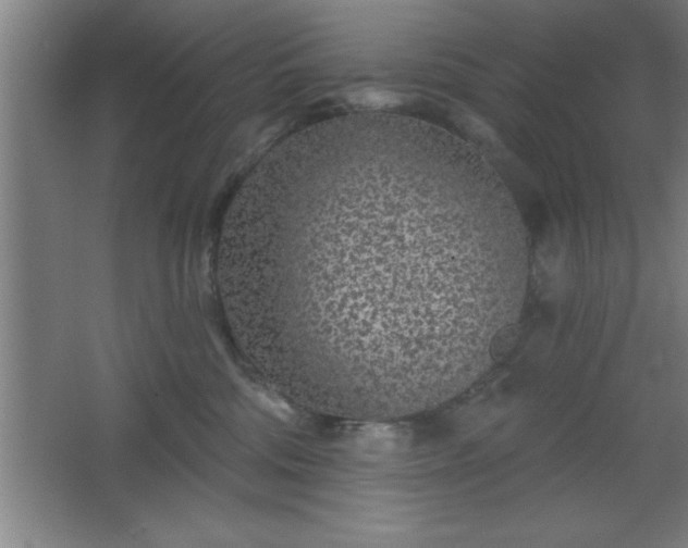 X0000068720330200605010940