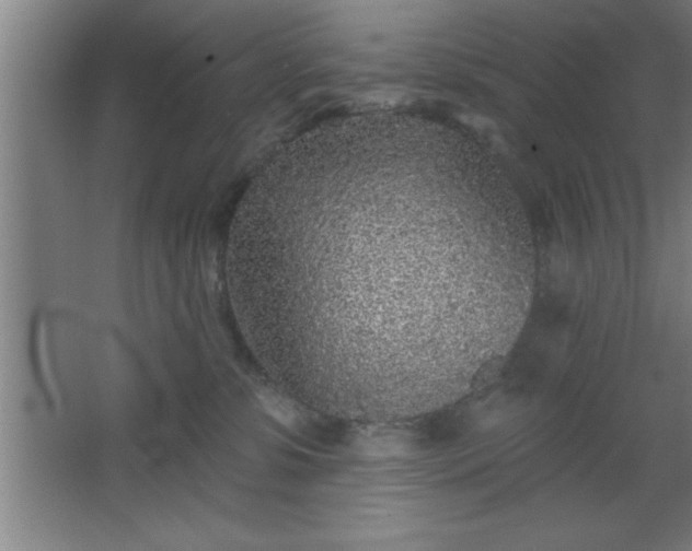 X0000068720331200605010940