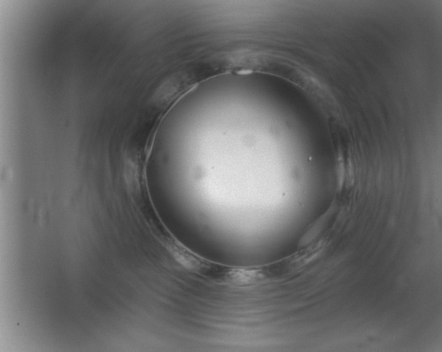 X0000068720333200605010940