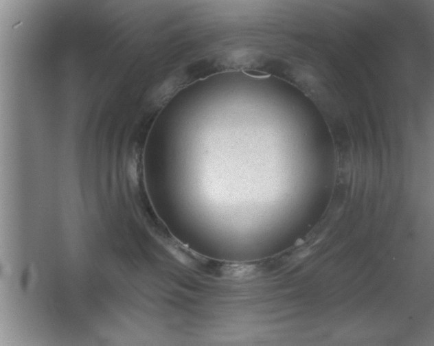 X0000068720334200605010940