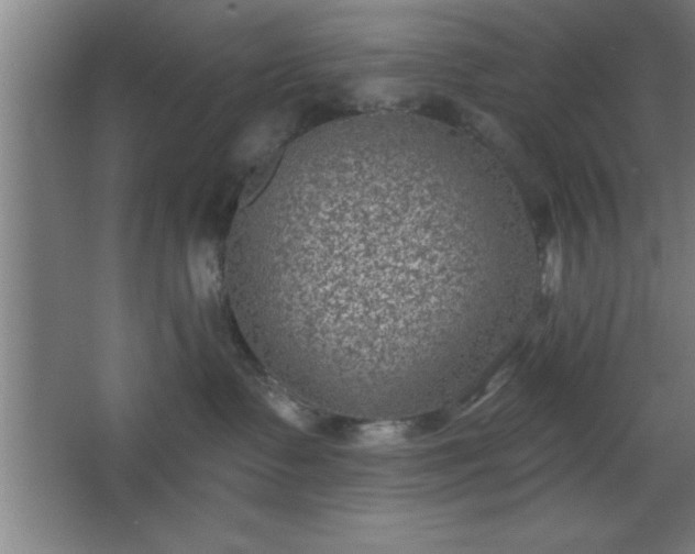 X0000068720335200605010940