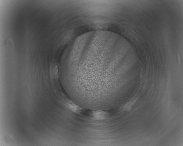 X0000068720336200605010940