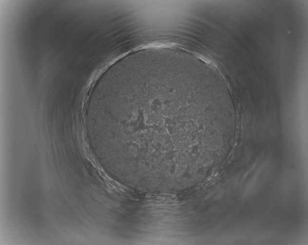 X0000068720337200605010939