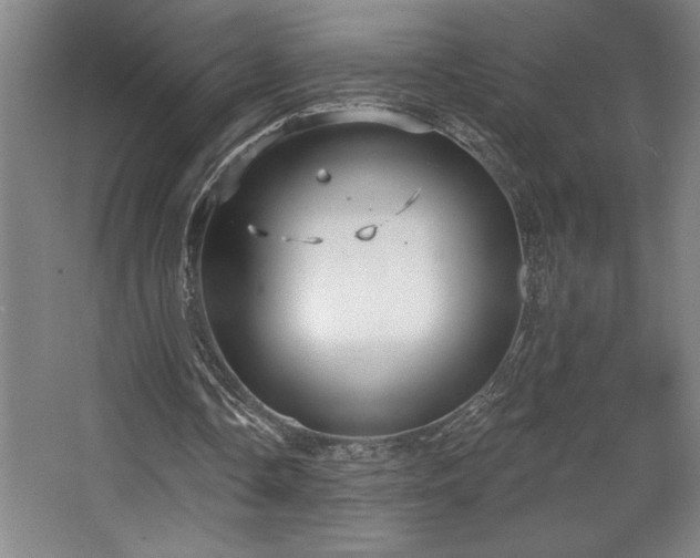 X0000068720338200605010939