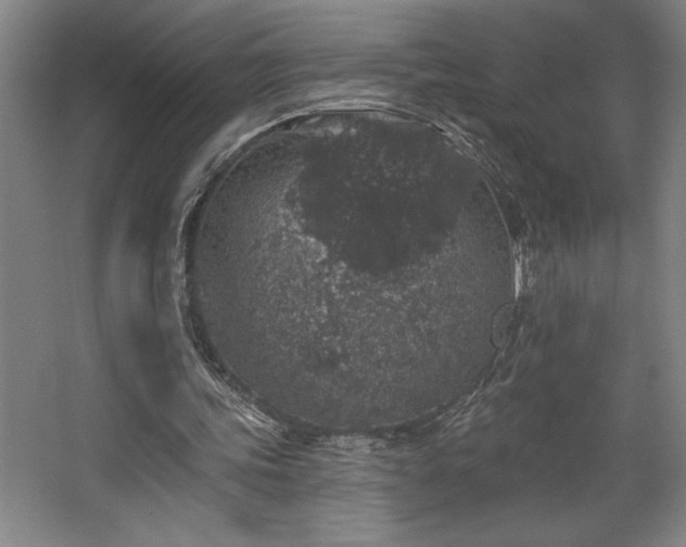 X0000068720339200605010939