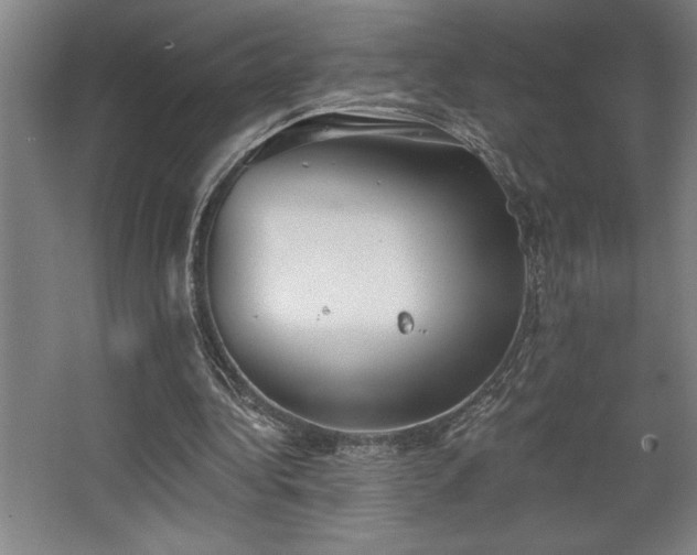 X0000068720340200605010939