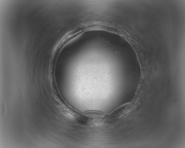 X0000068720341200605010939