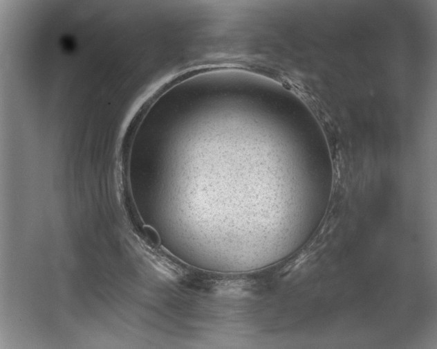 X0000068720342200605010939