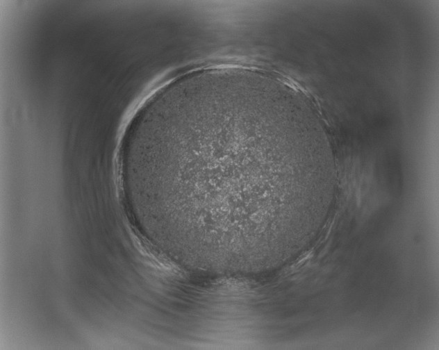 X0000068720343200605010939