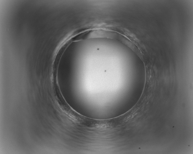 X0000068720344200605010939