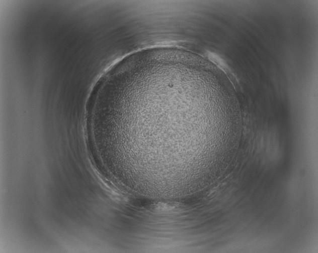 X0000068720346200605010939