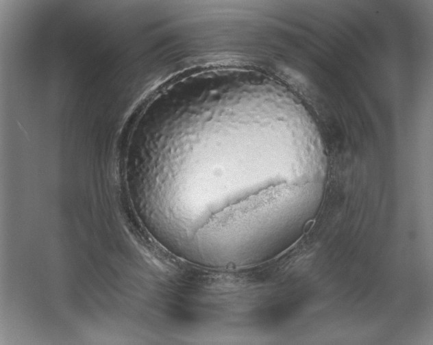 X0000068720347200605010939