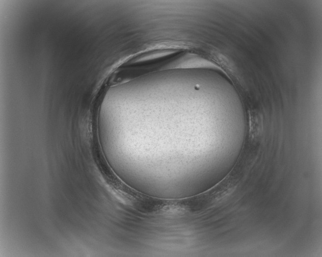 X0000068720348200605010939