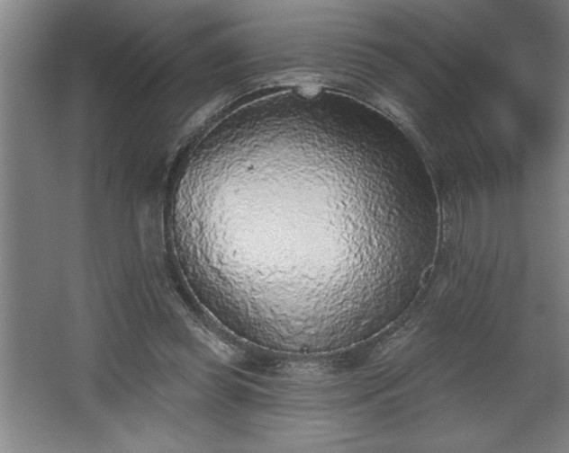 X0000068720349200605010939