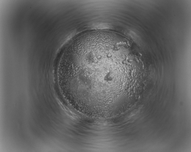 X0000068720351200605010939